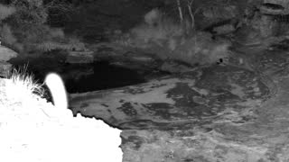 Still 2 from this detection