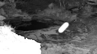 Still 2 from this detection
