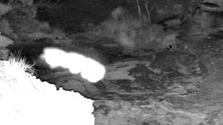 Still 3 from this detection