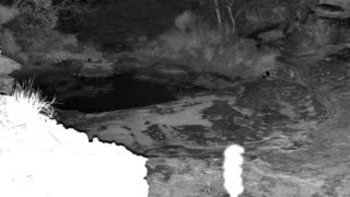 Still 1 from this detection