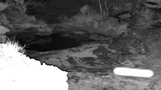 Still 2 from this detection