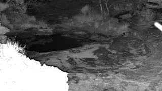 Still 3 from this detection