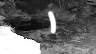 Still 1 from this detection