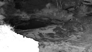 Still 1 from this detection