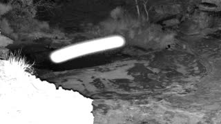 Still 1 from this detection