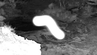 Still 1 from this detection