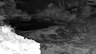 Still 2 from this detection