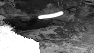 Still 1 from this detection