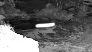 Still 1 from this detection