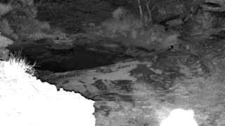 Still 2 from this detection