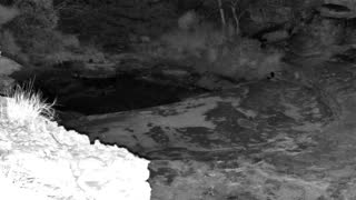 Still 2 from this detection