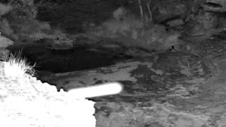 Still 2 from this detection
