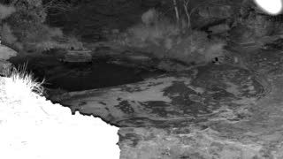 Still 1 from this detection