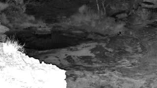 Still 2 from this detection