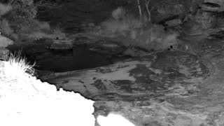 Still 1 from this detection