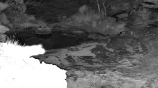Still 1 from this detection
