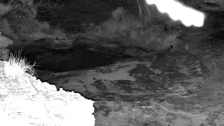 Still 2 from this detection