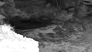 Still 2 from this detection