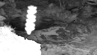 Still 1 from this detection