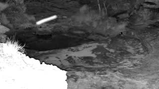 Still 1 from this detection