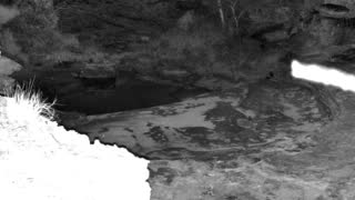 Still 2 from this detection