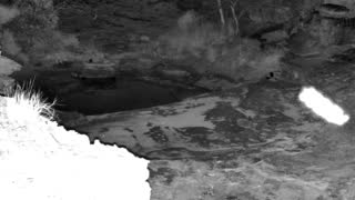 Still 2 from this detection
