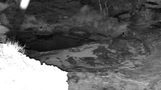 Still 2 from this detection