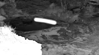 Still 1 from this detection