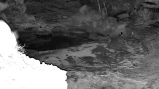 Still 1 from this detection