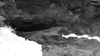 Still 1 from this detection