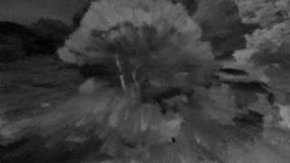 Still 1 from this detection