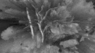 Still 2 from this detection