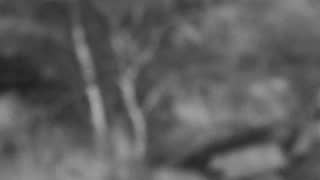 Still 3 from this detection