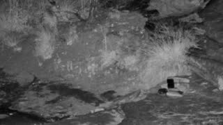 Still 1 from this detection