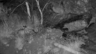 Still 2 from this detection