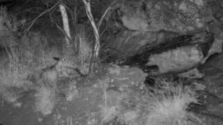 Still 3 from this detection