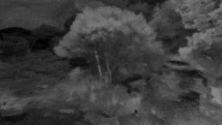 Still 1 from this detection