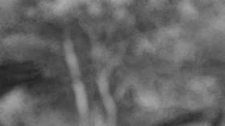 Still 3 from this detection