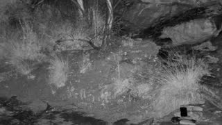 Still 1 from this detection