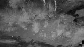 Still 2 from this detection