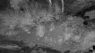 Still 1 from this detection