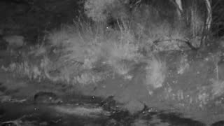 Still 2 from this detection