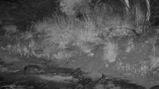 Still 3 from this detection