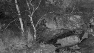 Still 1 from this detection