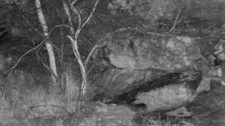 Still 2 from this detection