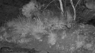 Still 3 from this detection