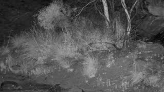 Still 3 from this detection