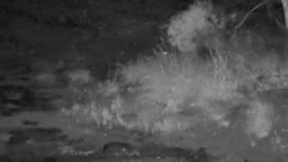 Still 1 from this detection