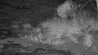 Still 2 from this detection