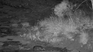 Still 3 from this detection
